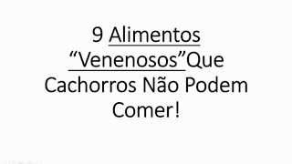 O Que Cachorro Não Pode Comer- 9 Alimentos Inimigos Do Seu Cão