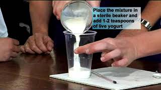 e-Bug school activities to teach about useful microbes: yoghurt experiment