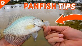 Pond Panfish Fishing Tips with Nordbye! | MTB Panfish Box