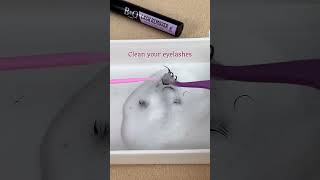 How to make eyelashes reusable |B&Q Lashes|#diylashes