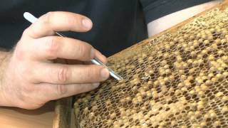 Varroa Destructor - Thermosolar Hive vs common hive