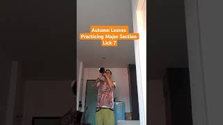 Autumn Leaves Practice 13