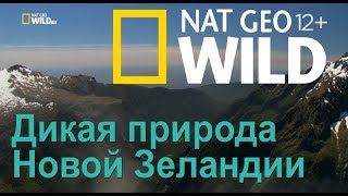 Nat Geo Wild: Дикая природа Новой Зеландии: затерянный рай / Wild New Zealand. Lost Paradise