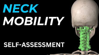 Neck Mobility Self-Assessment