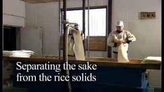 Sake Brewing Process: Pressing