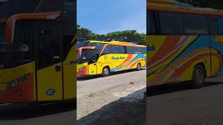 Bus Rosalia Indah livery Kuning lepas dari Terminal krisak #trukoleng #automobile #basuri