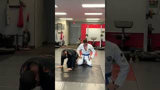 Basic turtle guard escape to triangle choke #trianglechoke #turtleguard #jiujitsu