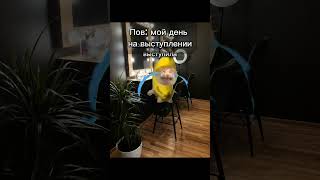 🤣 *Видео моё* #youtube #подписки #рекомендации #polly_k #кисы