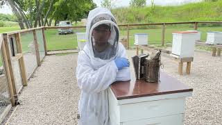 BEEKEEPING: How to Make Honey Your First Year Using Single Brood Nest Hives