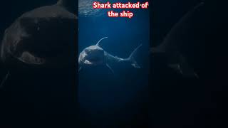 Big Big Shark 🦈🦈🦈 attacked  of the Shop#shark #trending #trendingvideo #trendingshorts