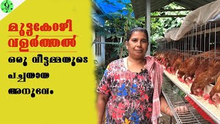 മുട്ടക്കോഴി വളർത്തുന്ന ഒരു വീട്ടമ്മക്കു പറയാൻ ഉള്ളത് കേട്ടു നോക്കു |BV380 വളർത്തൽ |CJ Farms