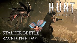 Stalker Beetle Saved The Day! 【 Hunt Showdown 】 ► PS5 Gameplay