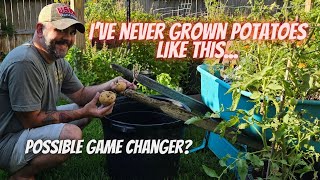 A New Way of Growing Potatoes for me, I'm Excited to Try This Method || DHBG