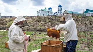 Монастырская пасека