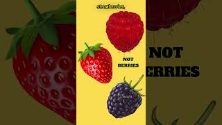 These Aren’t Real Berries! 🍇😱 You’ve Been Lied to! #facts #shorts #nature