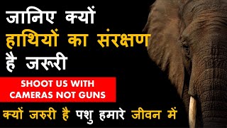 जानिए क्यों हाथियों का संरक्षण है जरूरी | Why animals are important in our environment #saveanimals