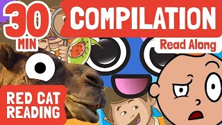 Reading Compilation | Curious Kids | Fun Facts for Kids | Made by Red Cat Reading