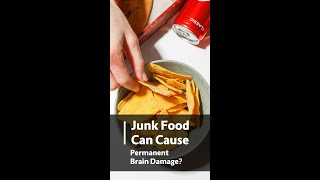 Junk Food Can Cause Permanent Brain Damage