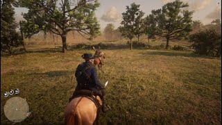 Most Embarrassing Moment Witnessed on Red Dead Online