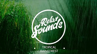 Шум тропического леса / Rainforest noise | Звуки релакса / Relax Sounds