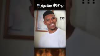 КАК КРЫСЫ ПОЯВИЛИСЬ ЗДЕСЬ?😳