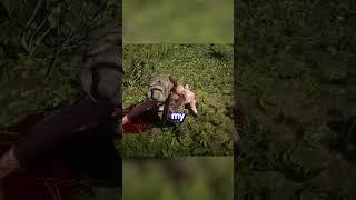 hunting gators in red dead rp gone wrong #reddeadrp #rdr2 #gaming #redm