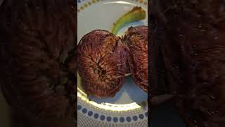 Brown Turkey Fig Harvest