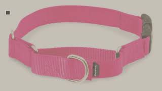 Dog Collars By Petsafe    Top 10 Most Popular