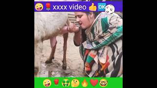 #shorts || nachaniya ke p.a || #bhojpuri #trending #viral #dance #video #trend #youtubeshorts #reels