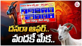 దసరా ఆఫర్..వందకే మేక..| Goat Price 100 Rupess | Dasara Lucky Draw Special Offer @SumanTVjagtial