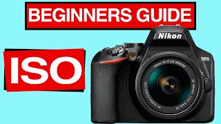 ISO What does it do? A beginners guide to how ISO can improve your photography.