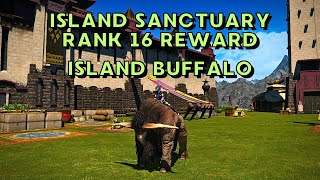 Island Buffalo - Mount Showcase | FFXIV Patch 6.4