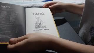 Livro Manual prático do Tarô.