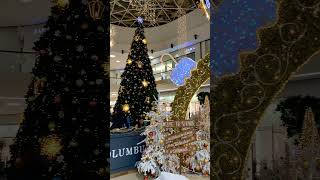 Woah | Christmas Decor #shorts #youtubeshorts