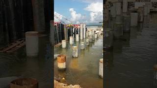 Pembangunan jetty PT Tarakan Chip Mill #phoenix #luqmanardiansyah