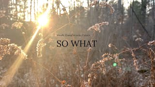 Noah Gundersen So What Cover