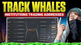 TRACK WHALES/INTUITIONS TRADING ADRESS