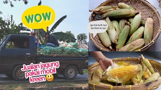 Baru kali ini melihat jualan jagung pakai mobil kreen jagung manis jualan laris 😃