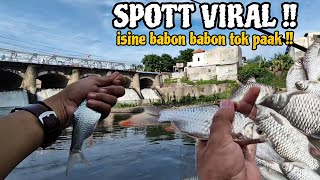 MANCING DISINI BAWA UMPAN BERAPAPUN PASTI HABIS ‼️ Mancing Tawes Dibawah Jembatan Viral