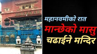 maha navami tradition | महा नवमीको रात मान्छेको मासु चढाइने मन्दिर | dashain | patan | lalitpur