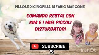 Il comando Resta! con Kim e i miei piccoli disturbatori