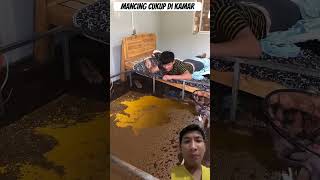 mancing cukup di kamar #câu_cá_chép_khủng #fishing #lure #fishing_lure #fish_camp_việt_nam