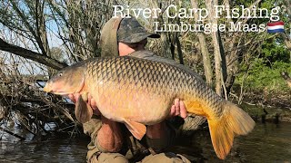 River Carp Fishing Vlog #10 Lente karpervissen op de rivier 2022 - Aflevering 2 van 3 (NEDERLANDS)