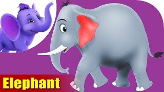 Hatti (Elephant) - Animal Rhymes in Marathi