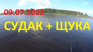 Поймал судака и щуку,  на Каме 09.07.2022г, троллинг