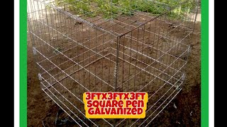 square pens galvanized#shorts #cage#shortvideo