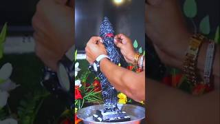 Ekadashi special Shri Vitthal Rukmini status short video / Shri Vitthal Rukmini Mata 2024