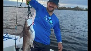 MONSTER SAIL CAT Trolling Rapala - Possible State Record In Sarasota