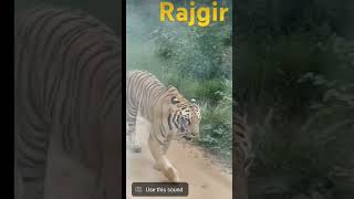 Rajgir |Bihar tourism| #shorts #vibesa #follow #subscribe