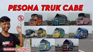 PESONA TRUK CABE DI KM 266 PALIKANCI